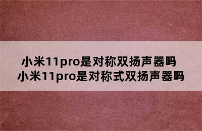 小米11pro是对称双扬声器吗 小米11pro是对称式双扬声器吗